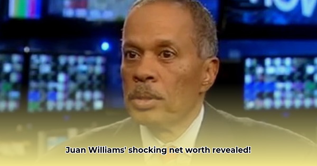 net-worth-juan-williams